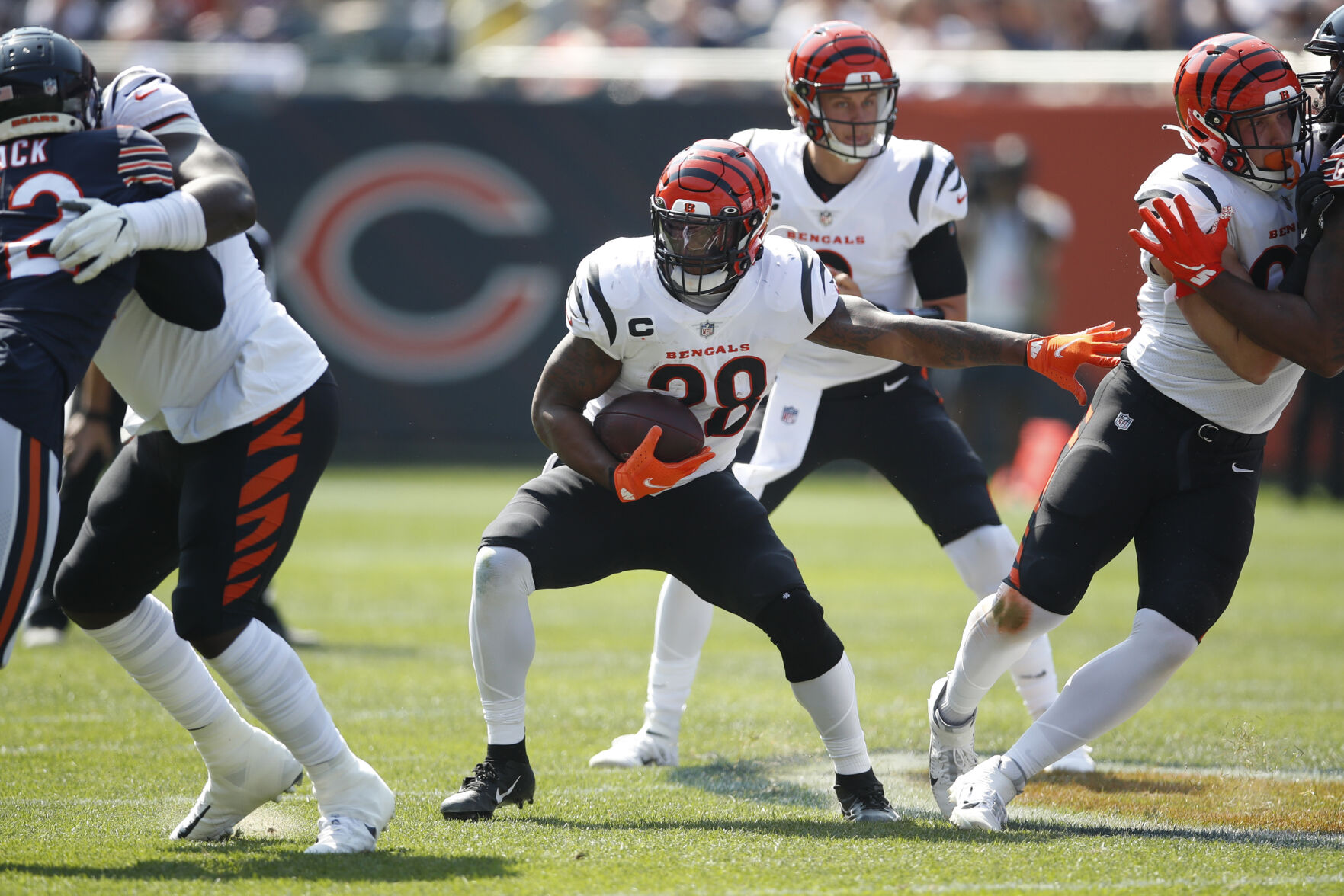 Bengals Bears Football